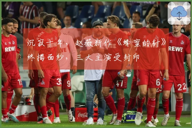 沉寂十年，赵薇新作《蜂蜜的针》终揭面纱，三大主演受封印